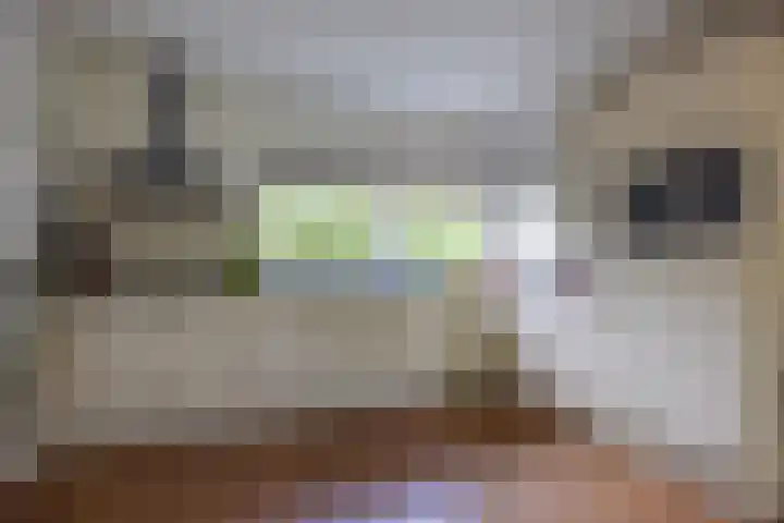 Frisiasingel 31 Burgum thumbnail 13