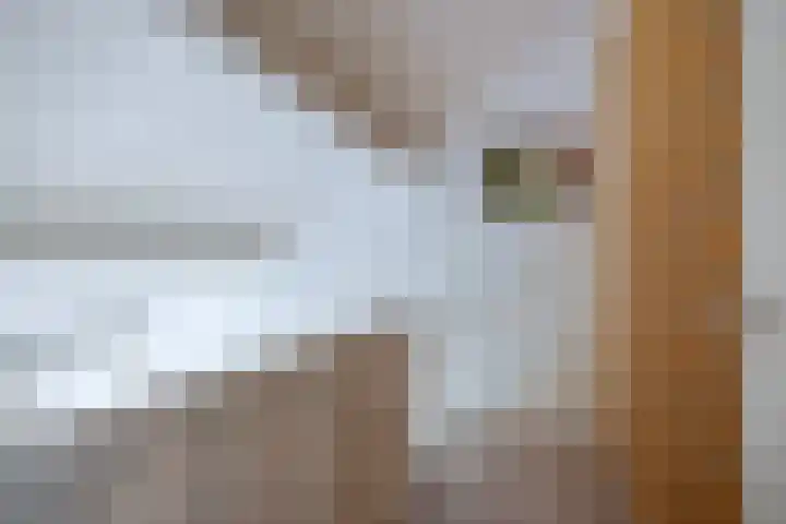 Frisiasingel 31 Burgum thumbnail 17