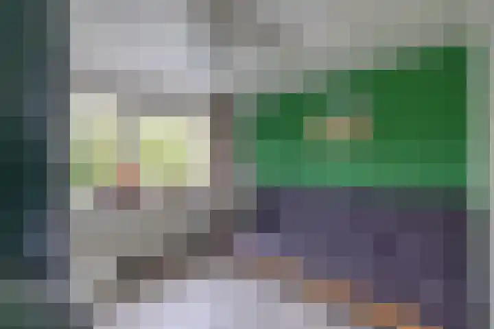 Frisiasingel 31 Burgum thumbnail 21