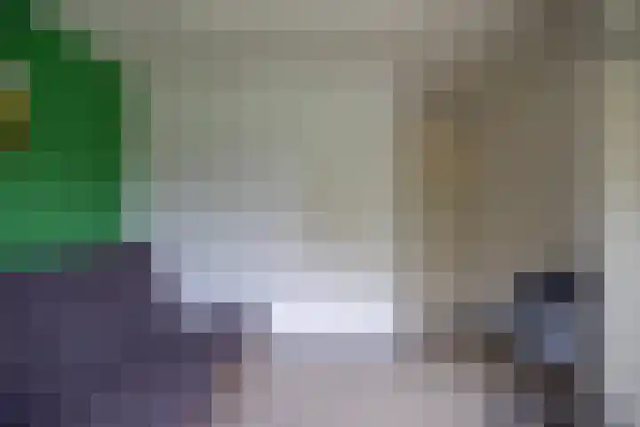 Frisiasingel 31 Burgum thumbnail 22