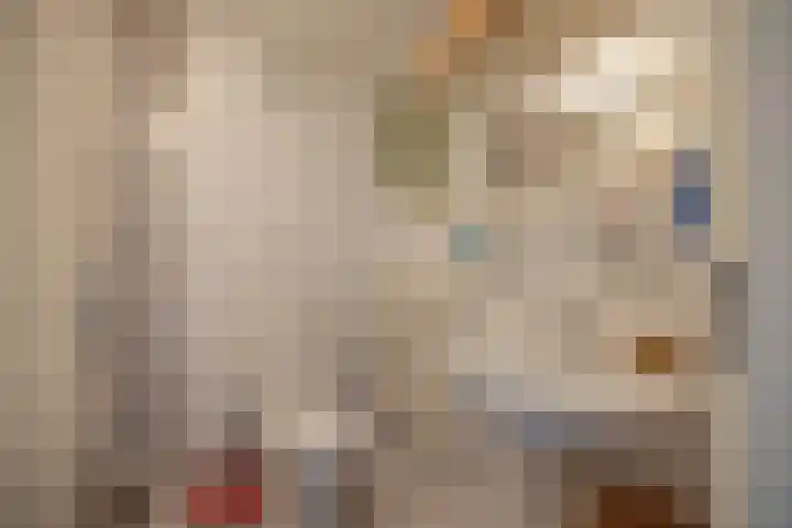 Frisiasingel 31 Burgum thumbnail 23