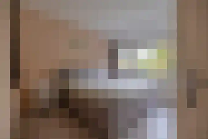 Frisiasingel 31 Burgum thumbnail 25