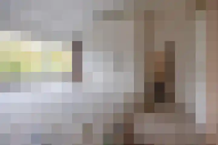 Frisiasingel 31 Burgum thumbnail 27