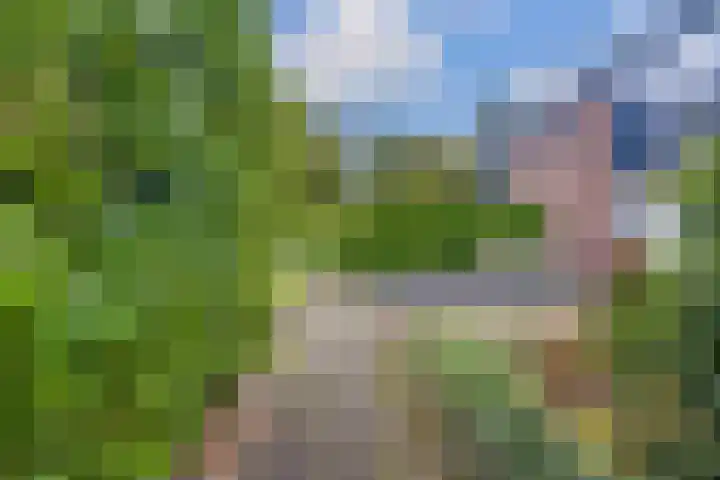 Frisiasingel 31 Burgum thumbnail 29