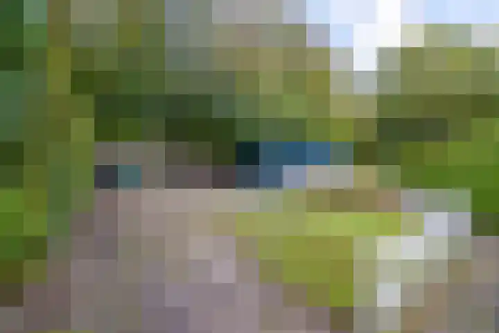 Frisiasingel 31 Burgum thumbnail 31