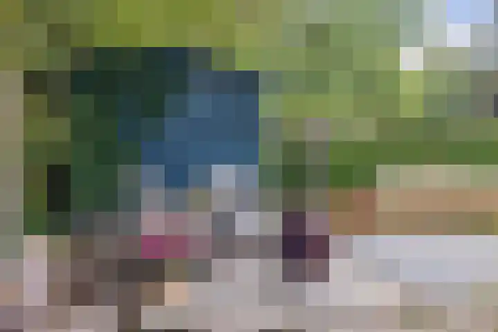 Frisiasingel 31 Burgum thumbnail 33
