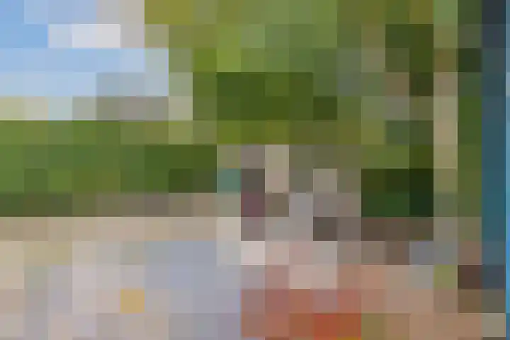 Frisiasingel 31 Burgum thumbnail 35