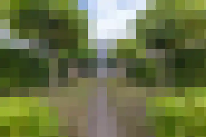Frisiasingel 31 Burgum thumbnail 37