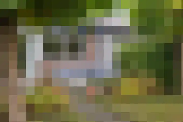 Frisiasingel 31 Burgum thumbnail 38