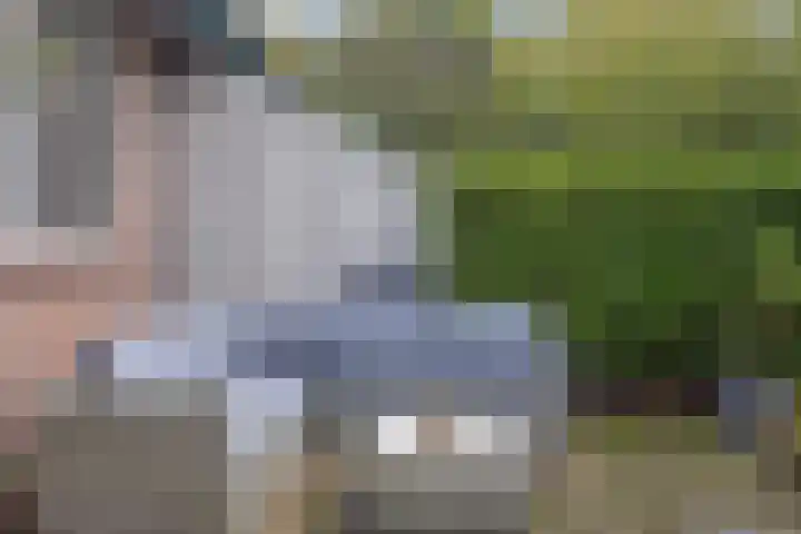 Frisiasingel 31 Burgum thumbnail 39