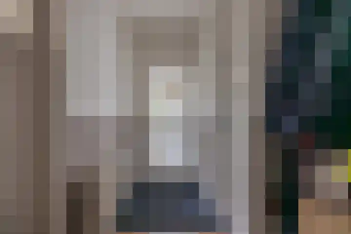 Frisiasingel 31 Burgum thumbnail 4