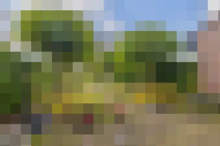 Frisiasingel 31 Burgum thumbnail 40