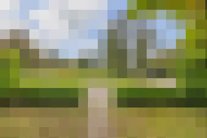 Frisiasingel 31 Burgum thumbnail 41