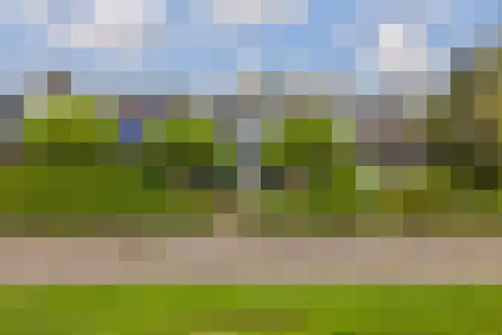 Frisiasingel 31 Burgum thumbnail 42