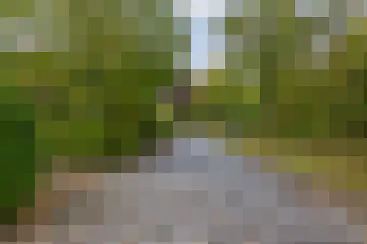Frisiasingel 31 Burgum thumbnail 44