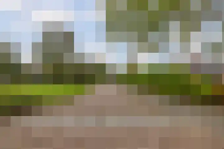 Frisiasingel 31 Burgum thumbnail 45
