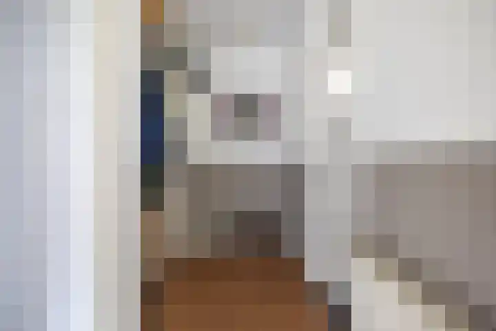 Frisiasingel 31 Burgum thumbnail 5