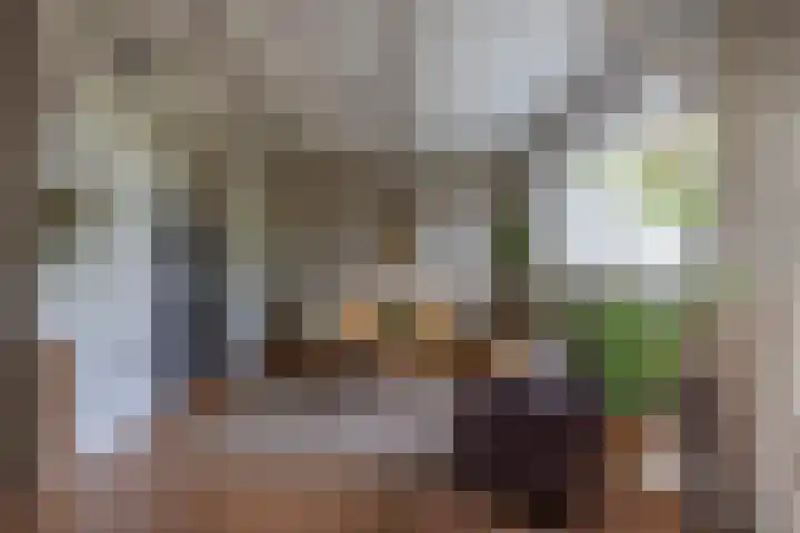 Frisiasingel 31 Burgum thumbnail 6