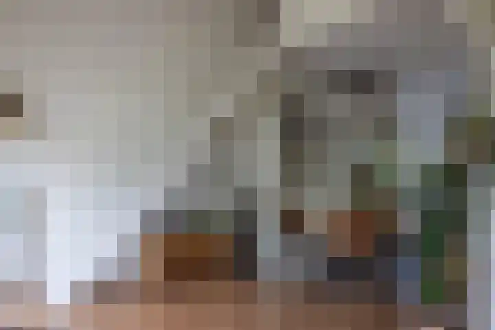 Frisiasingel 31 Burgum thumbnail 7