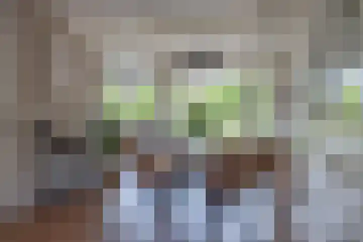 Frisiasingel 31 Burgum thumbnail 8