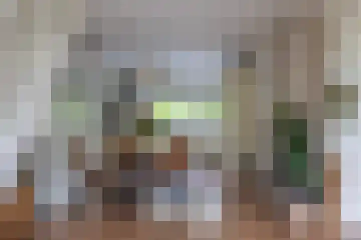 Frisiasingel 31 Burgum thumbnail 9