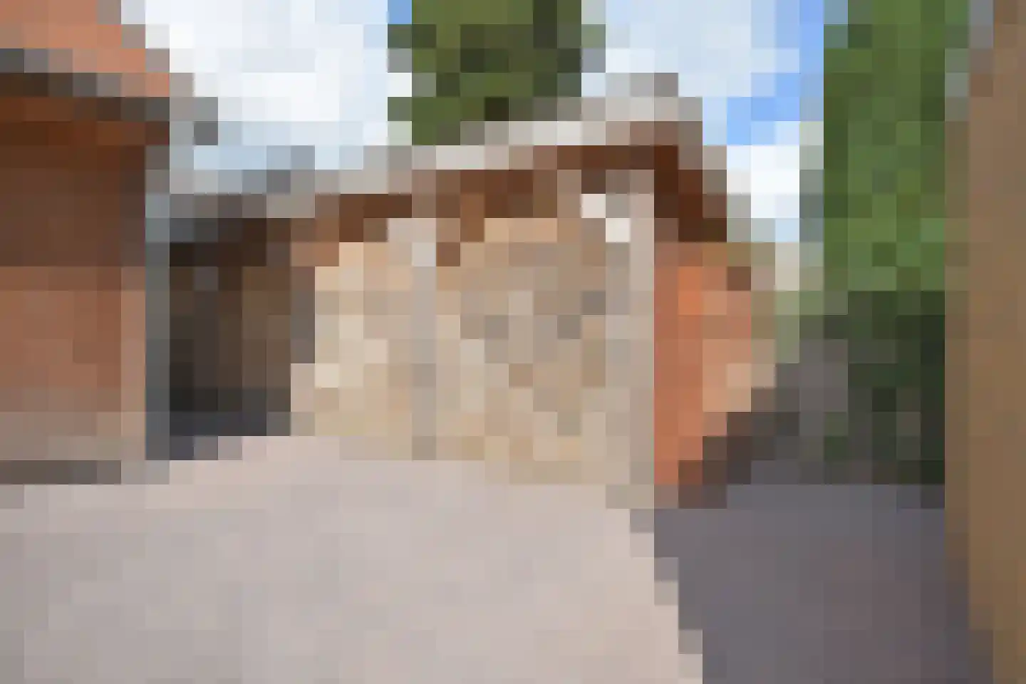 Frisiasingel 55 Burgum thumbnail 10