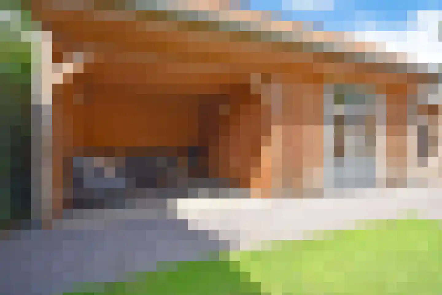 Frisiasingel 55 Burgum thumbnail 21
