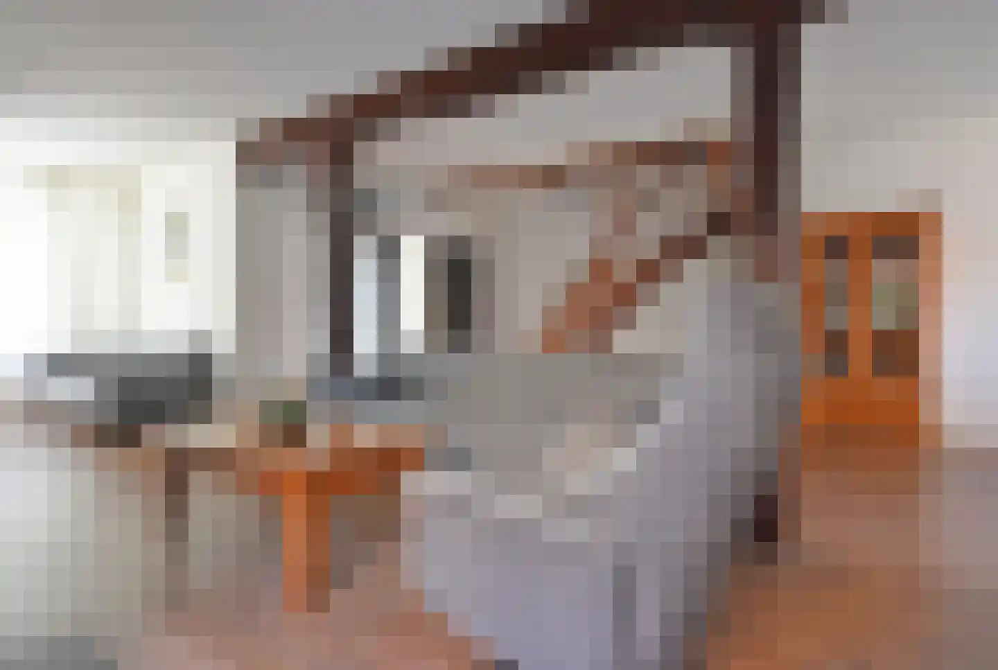 Frisiasingel 55 Burgum thumbnail 32