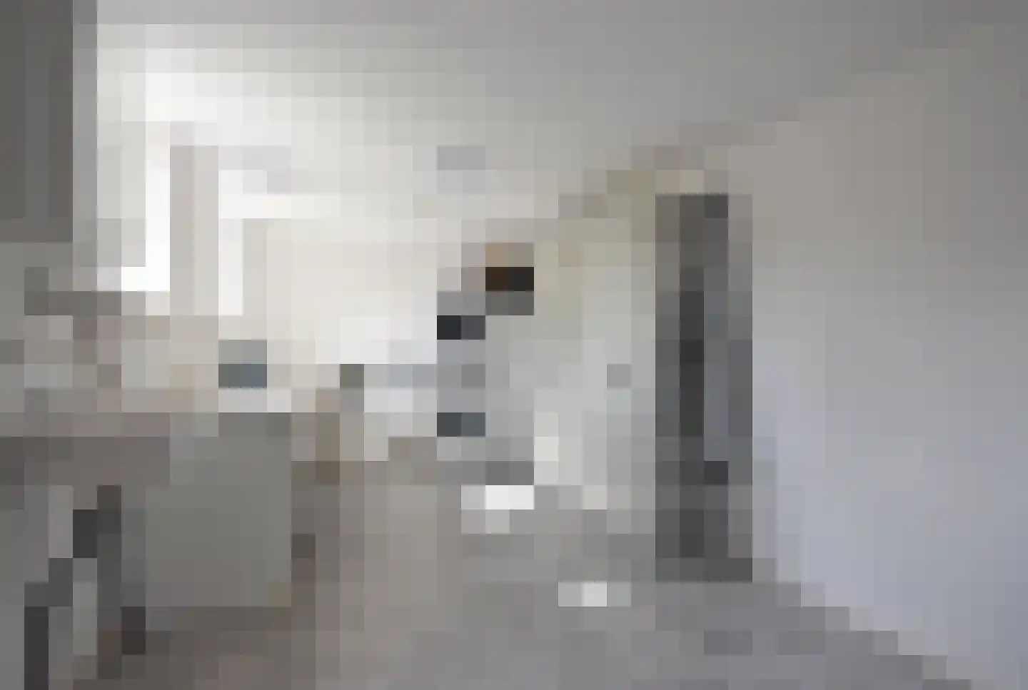 Frisiasingel 55 Burgum thumbnail 43