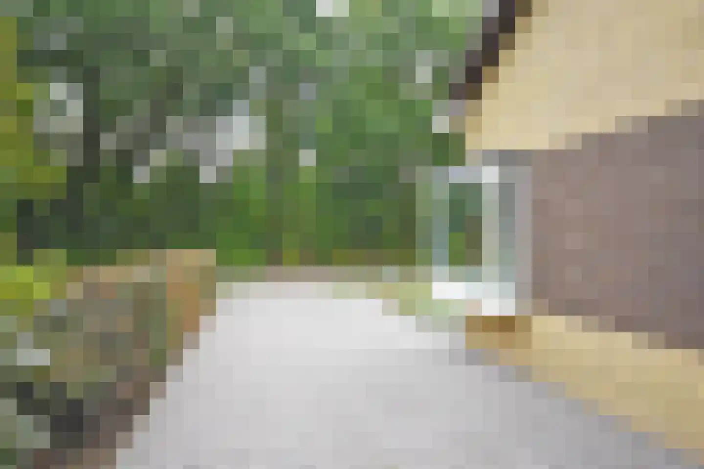 Frisiasingel 55 Burgum thumbnail 6
