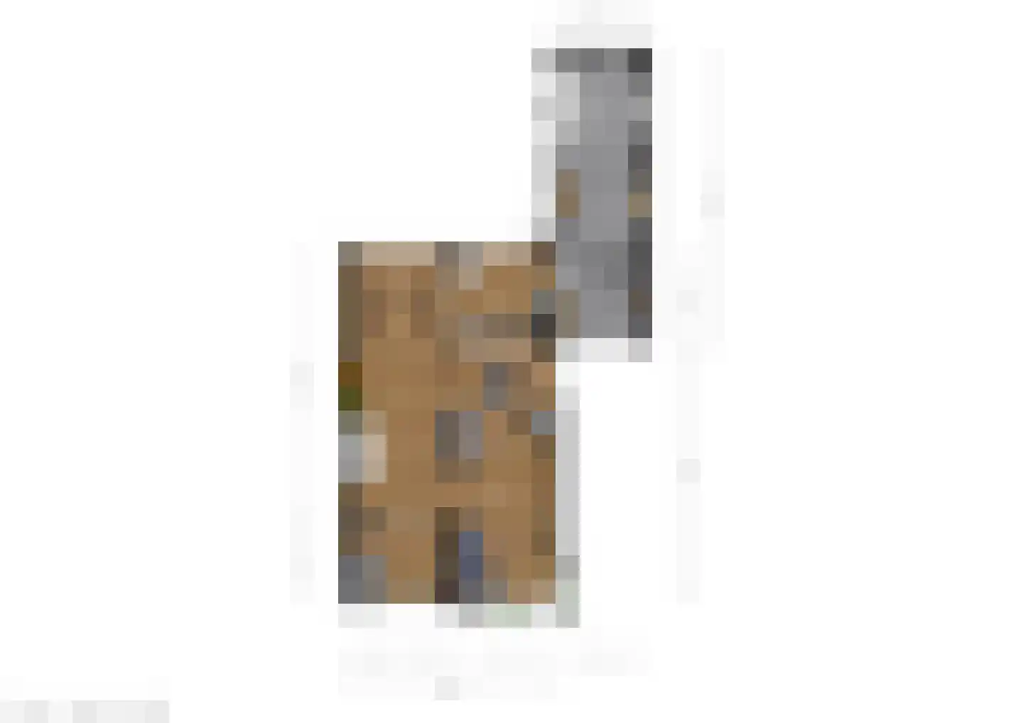 Frisiasingel 55 Burgum thumbnail 63