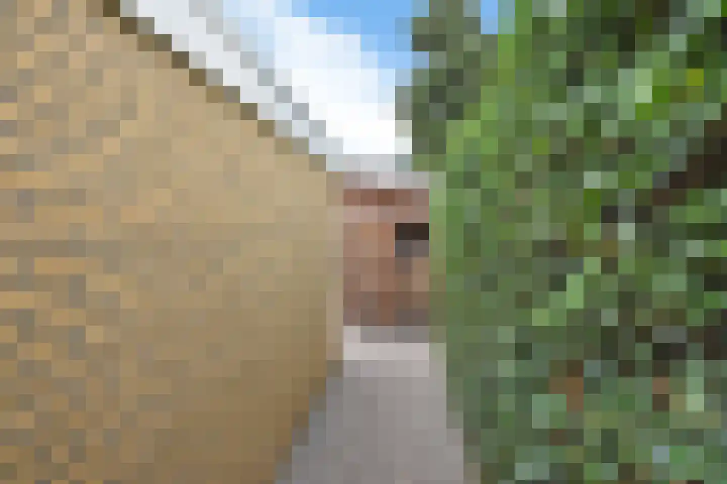 Frisiasingel 55 Burgum thumbnail 8