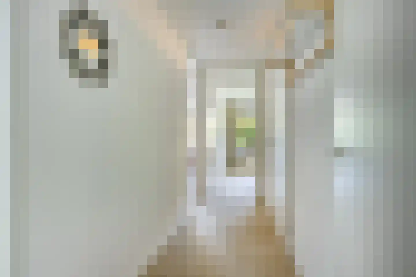 Frisiastate 96 Oentsjerk thumbnail 13