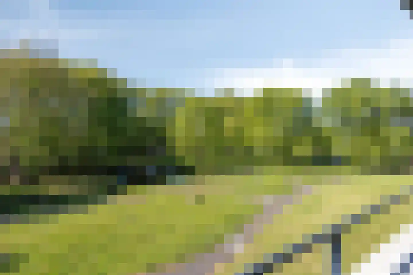 Frisiastate 96 Oentsjerk thumbnail 5