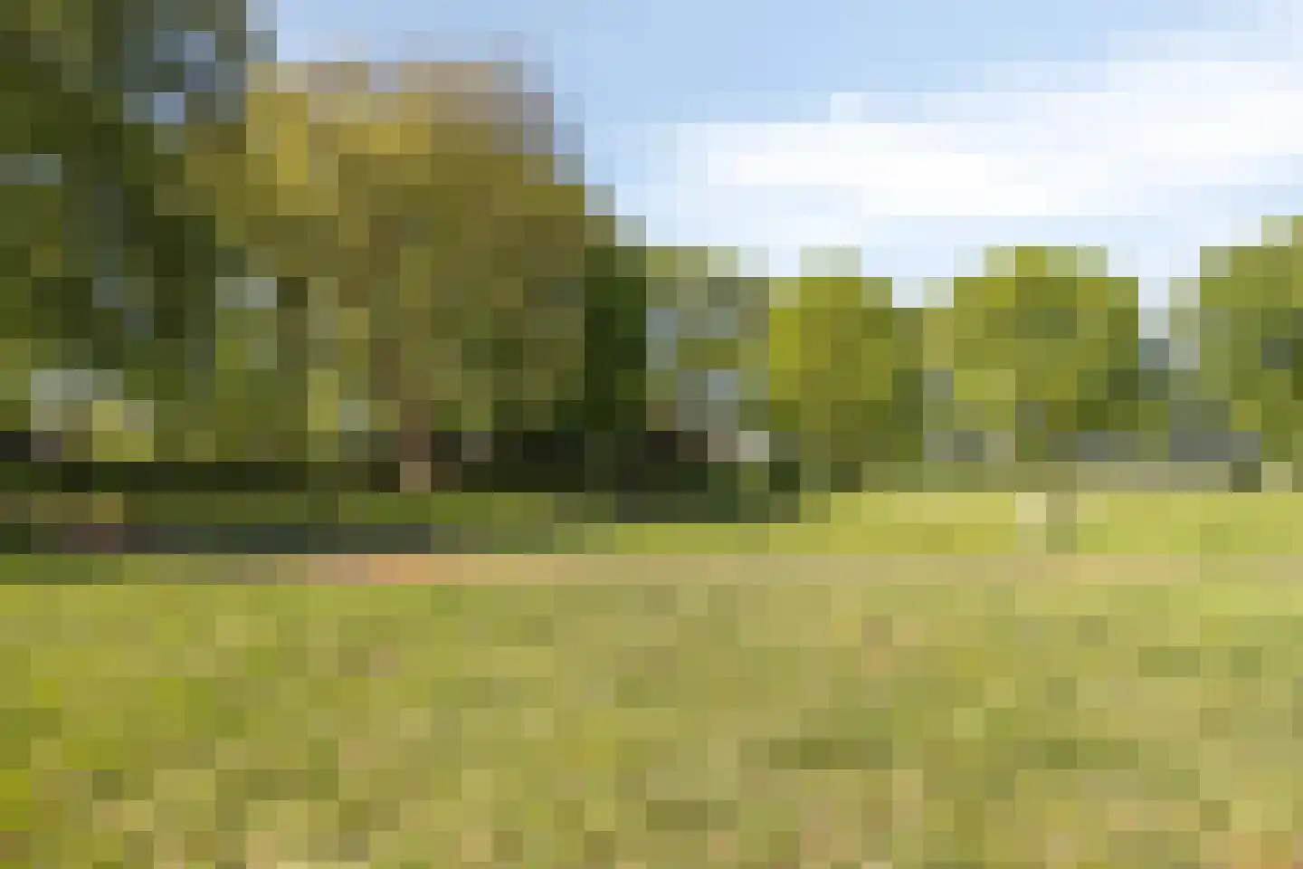 Frisiastate 96 Oentsjerk thumbnail 6