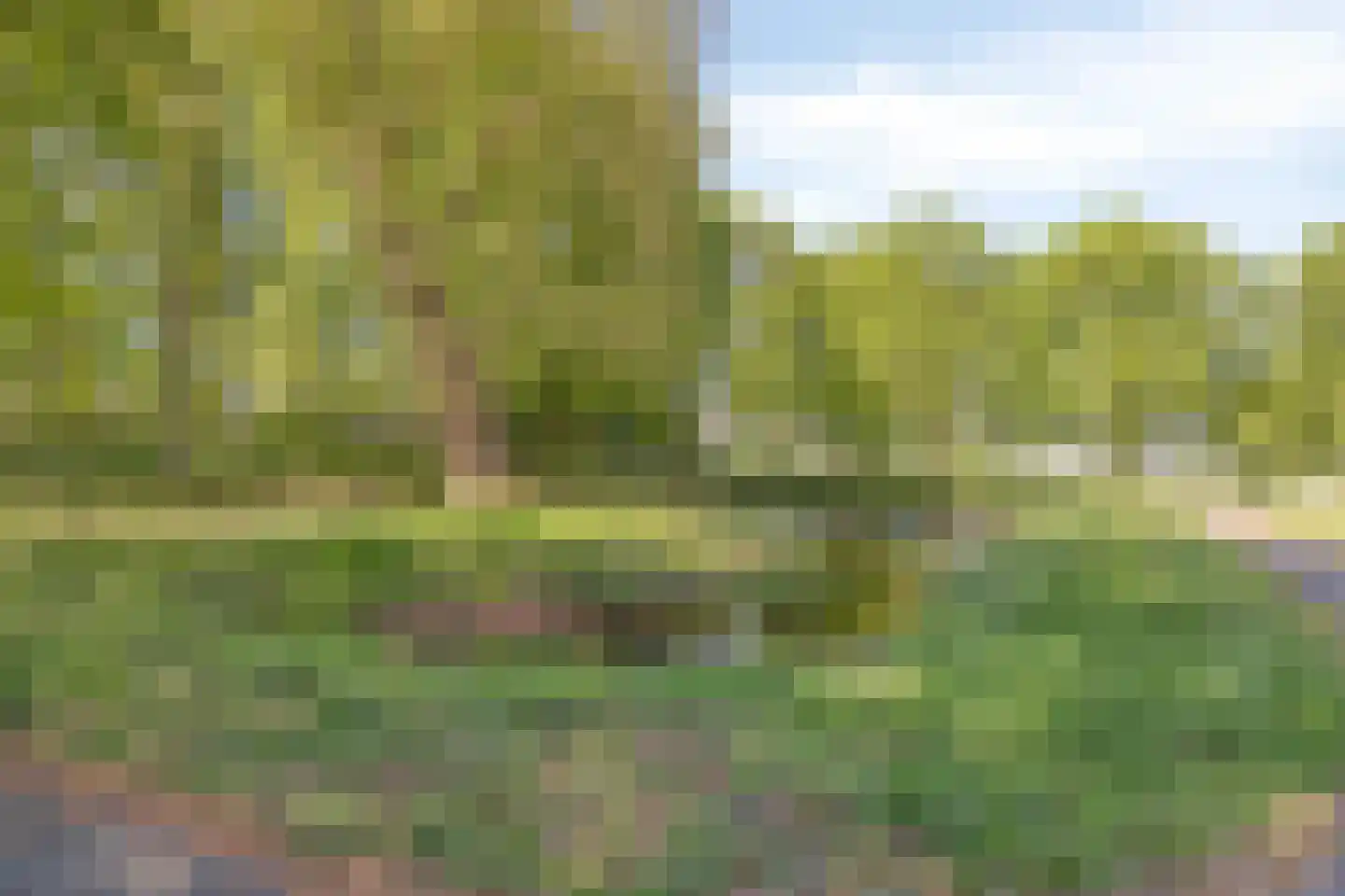 Frisiastate 96 Oentsjerk thumbnail 7