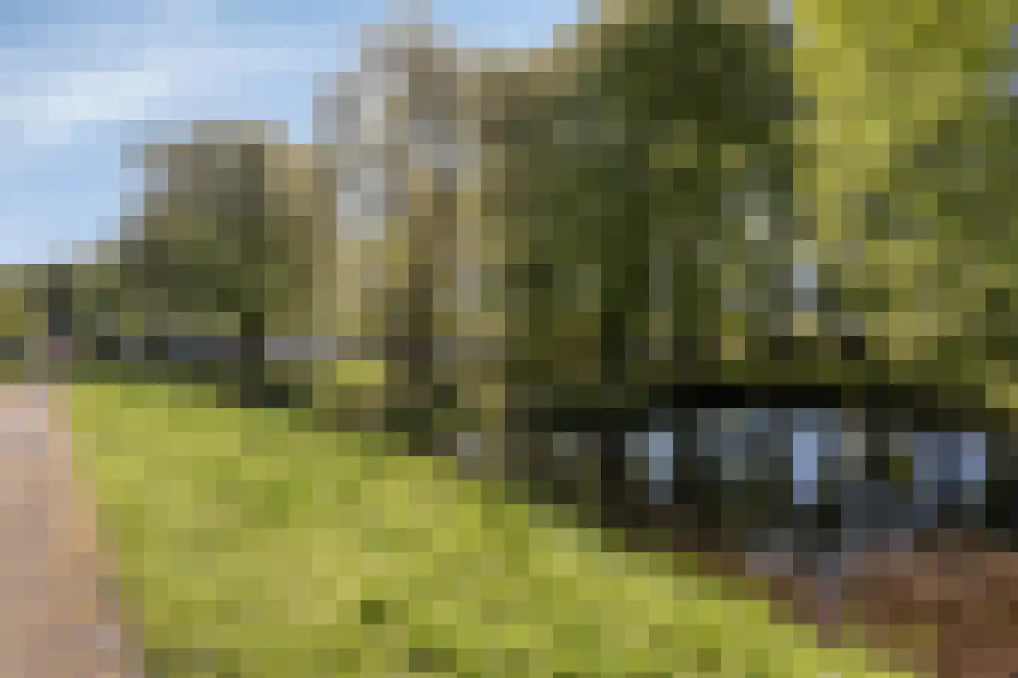 Frisiastate 96 Oentsjerk thumbnail 8