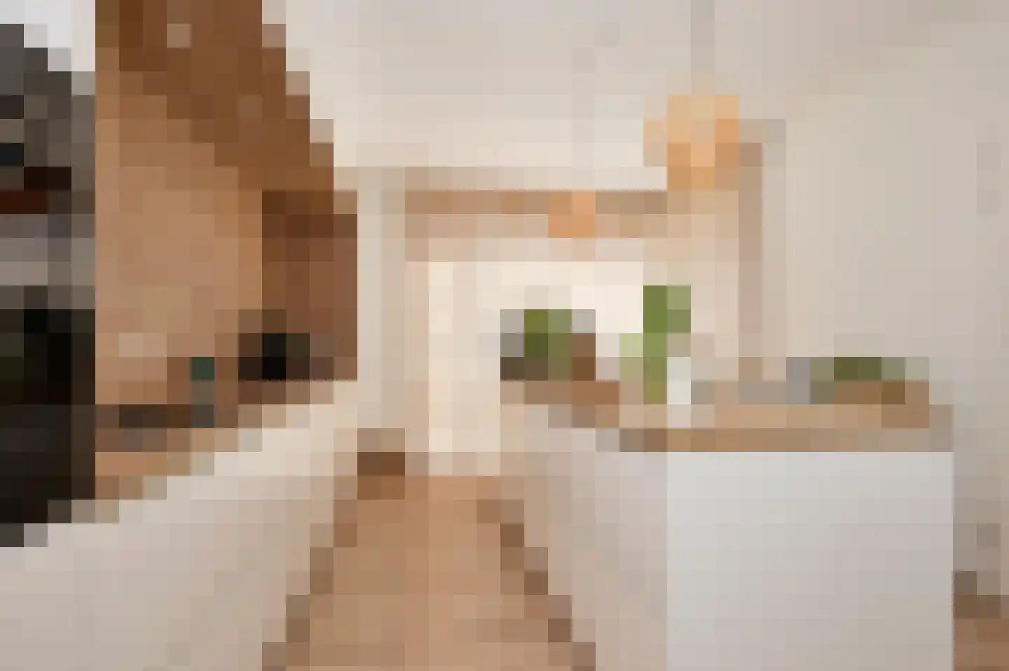 Frisiusschans 5 Terneuzen thumbnail 5