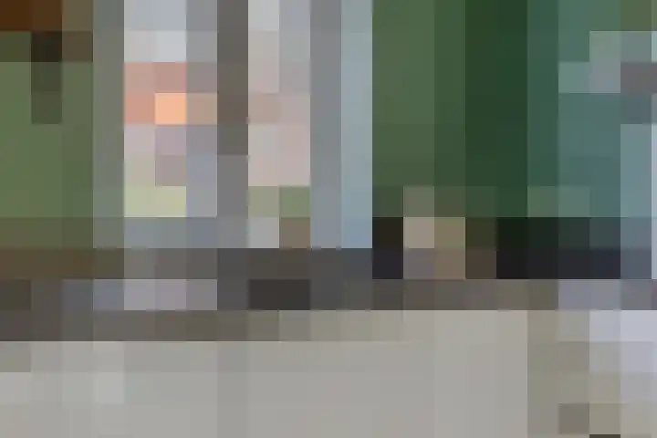 Frisodreef 17 Langbroek thumbnail 11