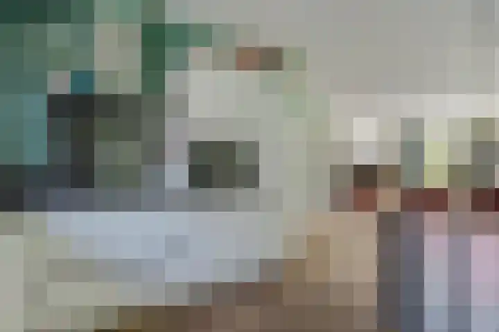 Frisodreef 17 Langbroek thumbnail 12