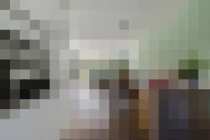 Frisodreef 17 Langbroek thumbnail 13