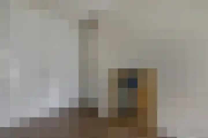 Frisodreef 17 Langbroek thumbnail 19