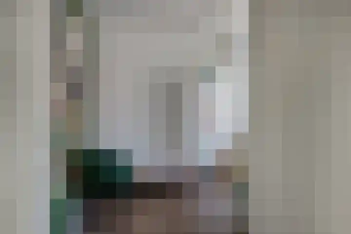 Frisodreef 17 Langbroek thumbnail 20