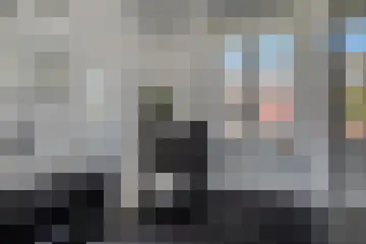 Frisodreef 17 Langbroek thumbnail 25