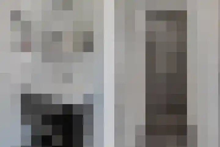 Frisodreef 17 Langbroek thumbnail 27