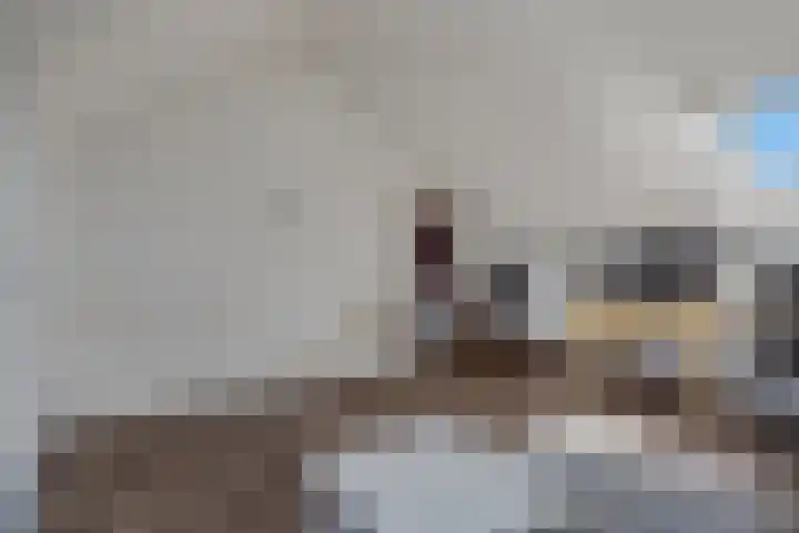 Frisodreef 17 Langbroek thumbnail 28