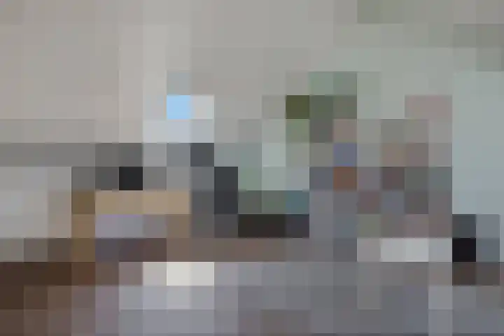 Frisodreef 17 Langbroek thumbnail 30