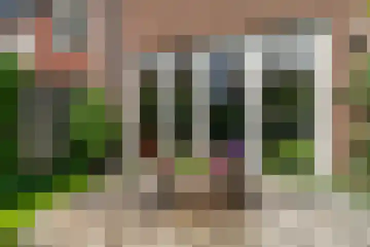 Frisodreef 17 Langbroek thumbnail 32