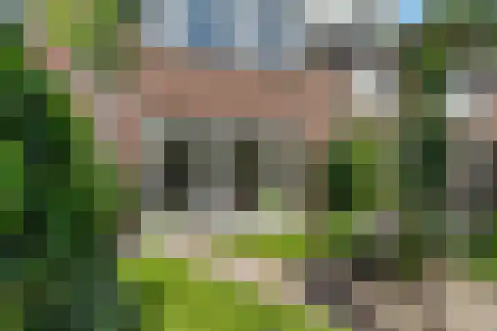 Frisodreef 17 Langbroek thumbnail 33