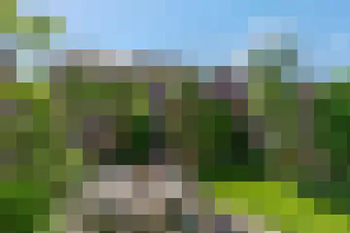Frisodreef 17 Langbroek thumbnail 34